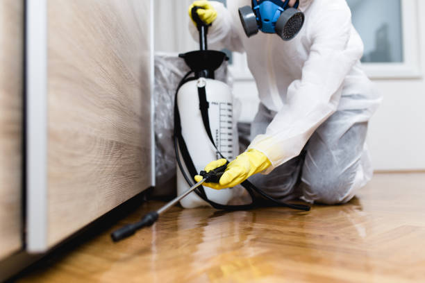 Best Best Pest Control Companies  in Medina, MN