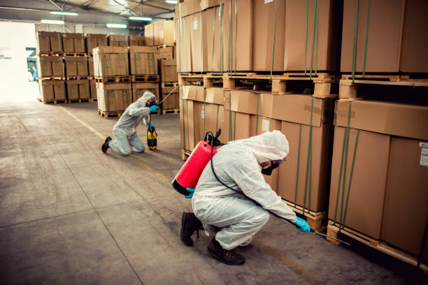 Best Pest Removal Services  in Medina, MN