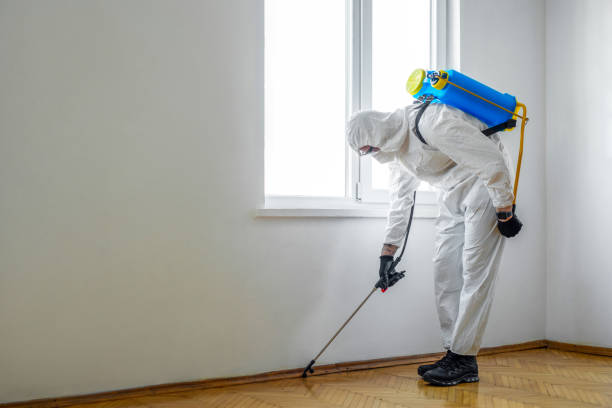 Best Commercial Pest Control Services  in Medina, MN