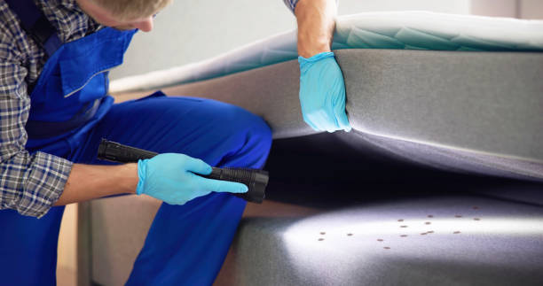 Best Termite Control Services  in Medina, MN