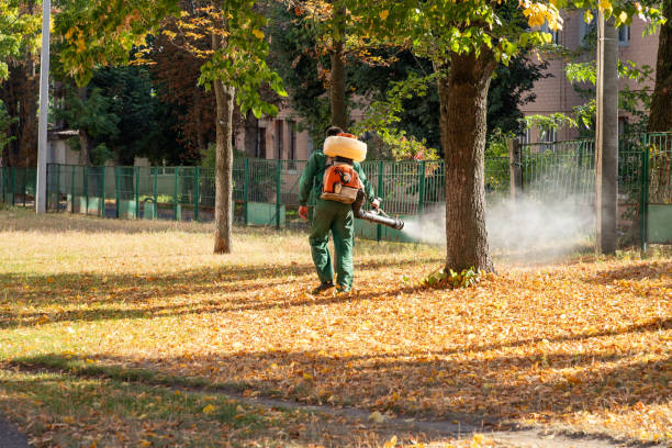 Wasp Removal Services in Medina, MN