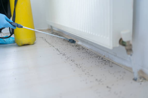 Professional Pest Control in Medina, MN